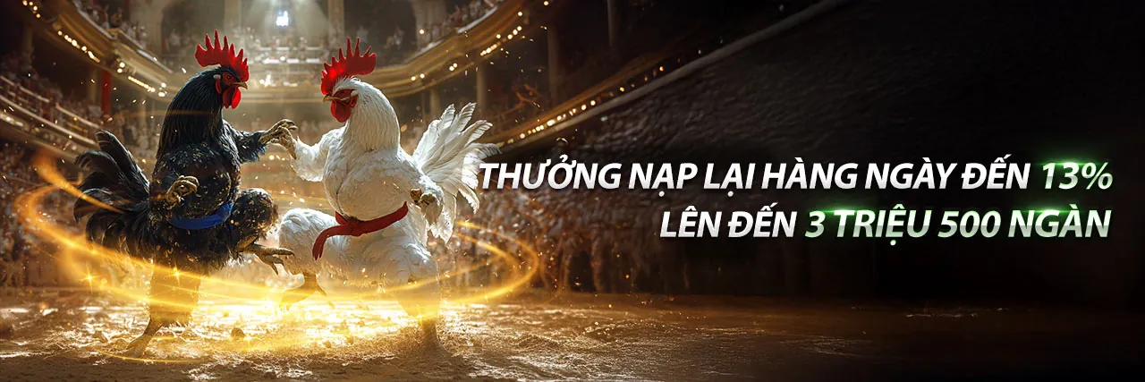 Đá Gà XN888 – Sân Chơi Kịch Tính